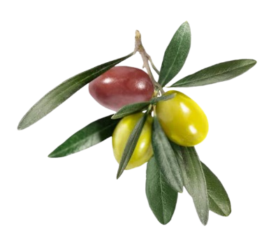 Ingredient Image