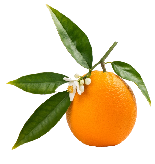 Ingredient Image