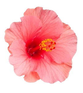 Ingredient Image